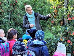 Kita St. Hedwig besucht Obstplantage